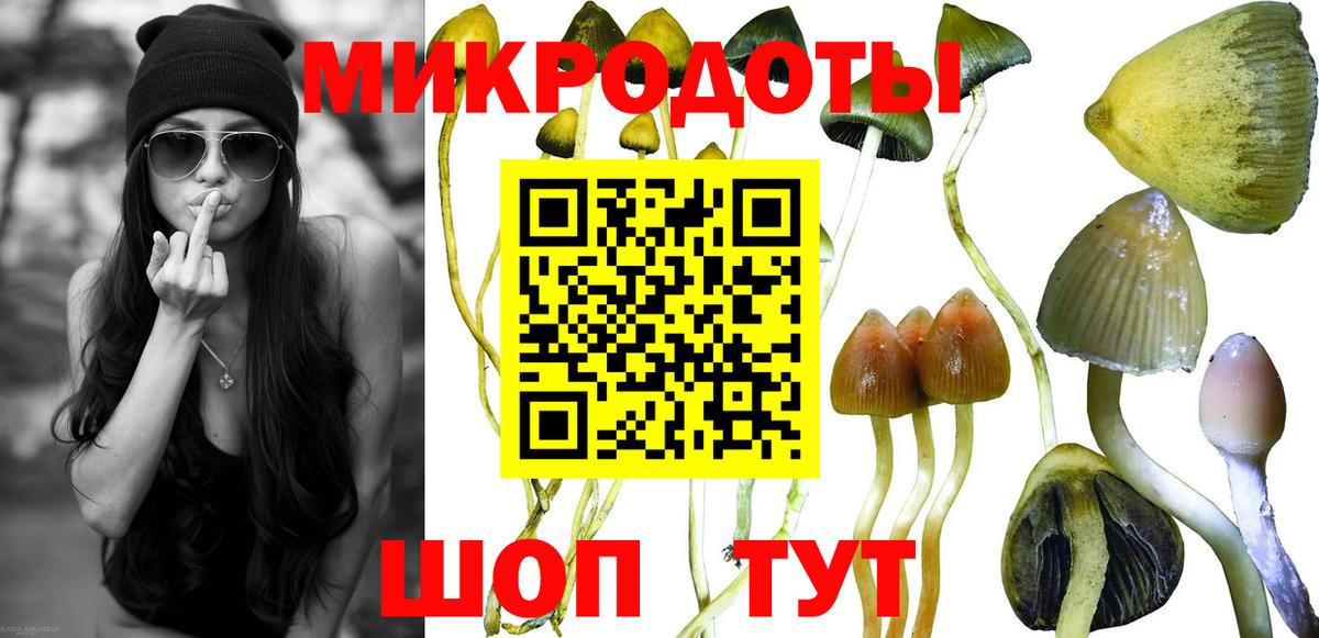 хочу   Вход с VPN  Самара  Псилоцибиновые грибы мухоморы 