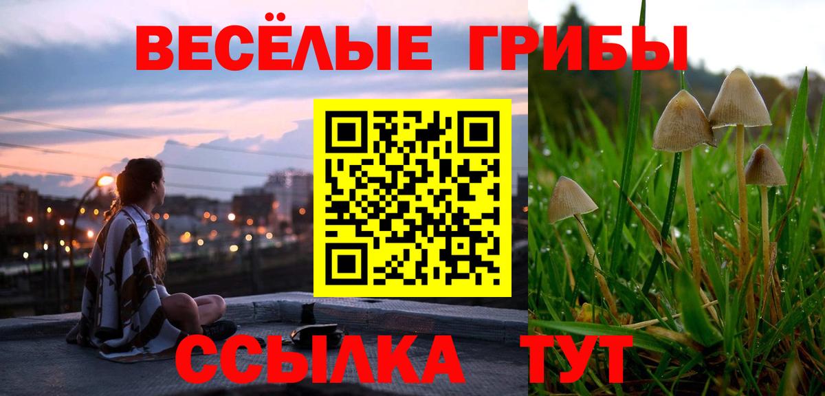 Псилоцибиновые грибы мухоморы Самара